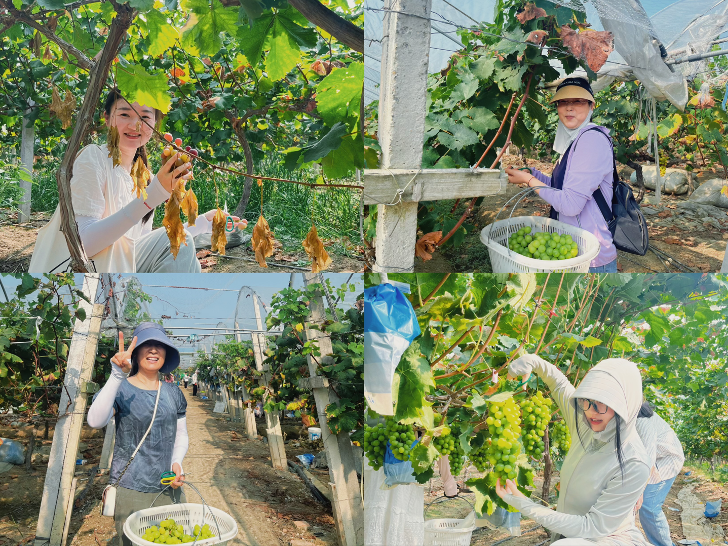 1724390857118940.png 1724390857118940.png